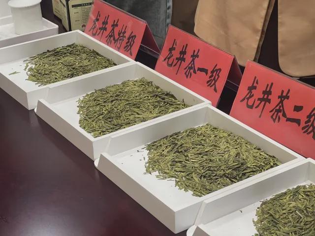 全国首个！事关龙井茶浙江正式发布(图1)