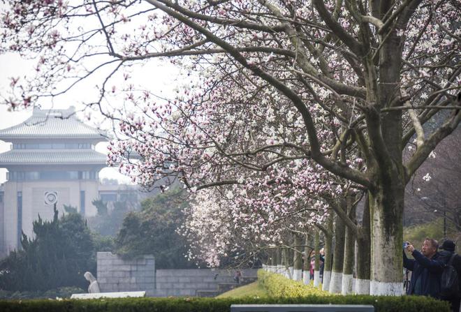 武汉大学一在建教学楼起火？多方回应：无人员受伤建筑材料着火(图6)