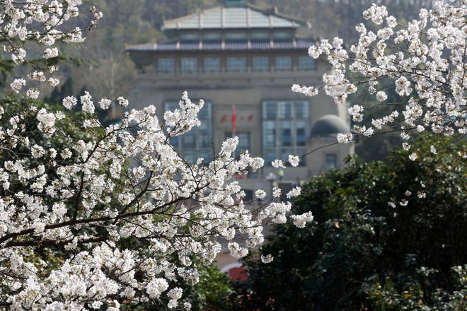 武汉大学一在建教学楼起火？多方回应：无人员受伤建筑材料着火(图5)