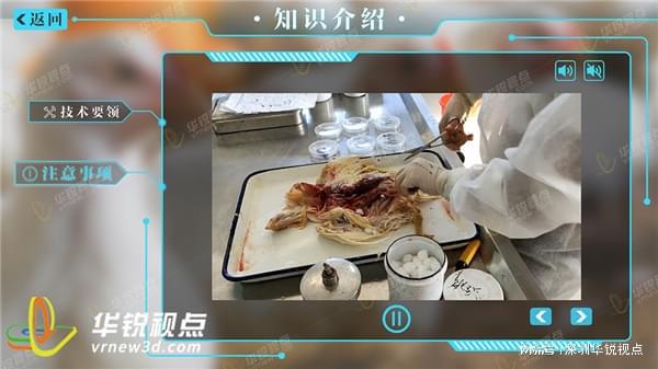 VR虚拟仿真家畜解剖互动实验教学平台更安全、便捷(图1)