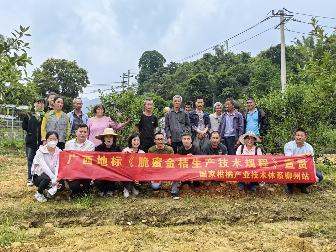 柳州市农业科学研究中心专家到沙子乡开展金桔种植管护实用技术指导(图1)
