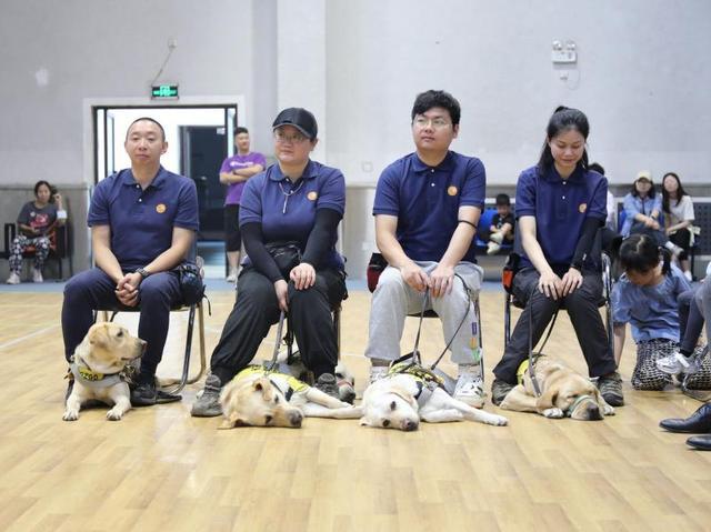 助残日 北京市导盲犬培训基地开展“黑暗运动”体验(图1)