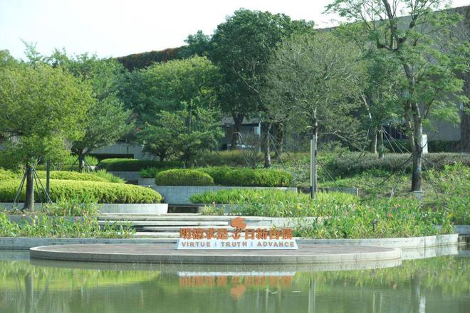 南方科技大学好不好？比肩985科研高质高产！(图4)