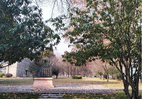 西北农林科技大学怎么样？好不好？王牌专业就业优势显著！(图1)