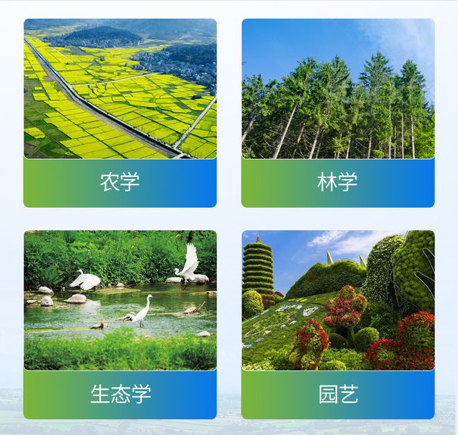 光合作用测定仪在实验教学中的应用(图3)