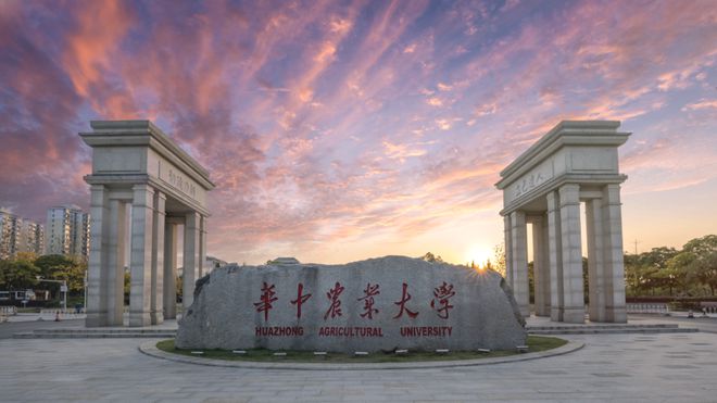 优厚待遇全面科研支持！“双一流”高校广纳贤才！(图1)