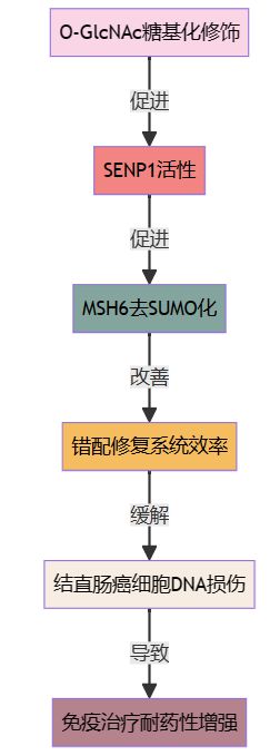 国自然：热门的蛋白翻译后修饰（糖基化、SUMO化）标书撰写技巧教学(图2)