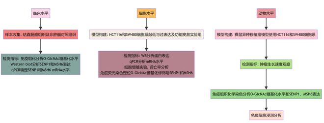 国自然：热门的蛋白翻译后修饰（糖基化、SUMO化）标书撰写技巧教学(图3)