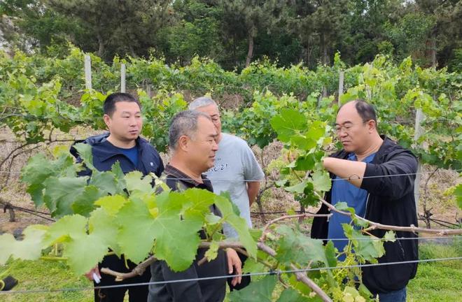 威海市环翠区委党校：“沉浸式”教学让课堂“活”起来(图2)