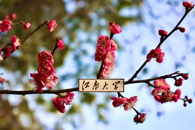 待遇丰厚多重支持！长三角“双一流”诚邀！(图4)