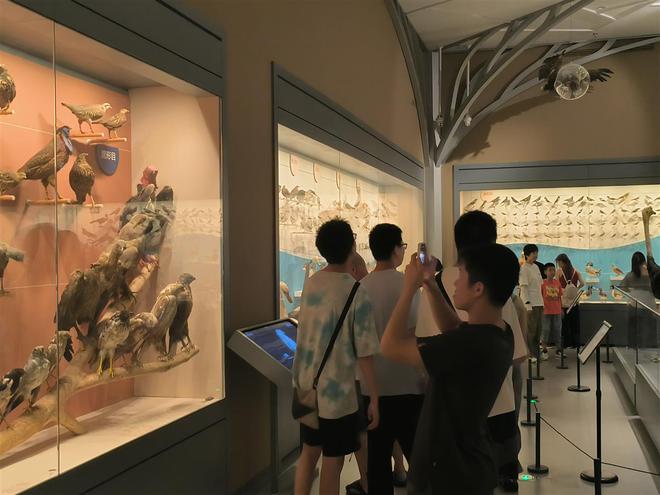 百校百馆我来行 这些地方免费开放暑假可以预约(图1)