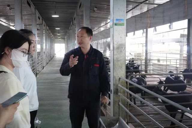 西财财政税务学院学子“三下乡” 见证大足铁山振兴画卷(图2)