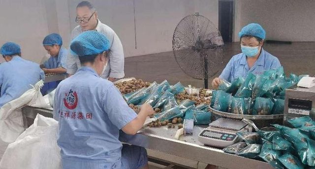 西财财政税务学院学子“三下乡” 见证大足铁山振兴画卷(图3)