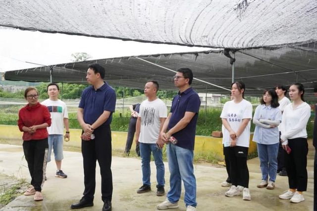 西财财政税务学院学子“三下乡” 见证大足铁山振兴画卷(图4)