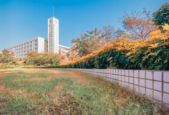 活动招募丨“跨越山海研学未来”——湛江遂溪暑假研学之旅再起航(图8)