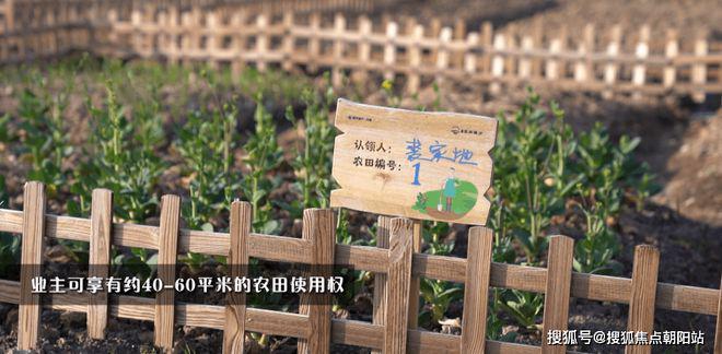 朗诗溪涧雅庐（朗诗溪涧雅庐2024官方网站）官网发布上海房天下(图7)