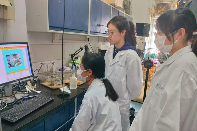 上海市民办尚德实验学校｜融合部学子暑期竞赛和科研实录(图5)