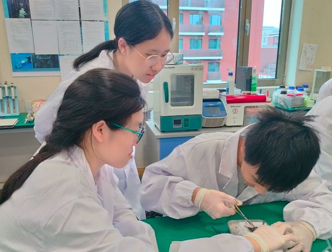 上海市民办尚德实验学校｜融合部学子暑期竞赛和科研实录(图6)
